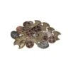 Barbarian Coin Set -Spel Speelgoed Winkel barbarian coin set