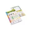 Dinosaur Island Rawr N Write Extra Pads -Spel Speelgoed Winkel dinosaur island rawr n write extra pads