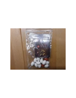 Praga Caput Regni: Wooden Eggs & Promo Cards